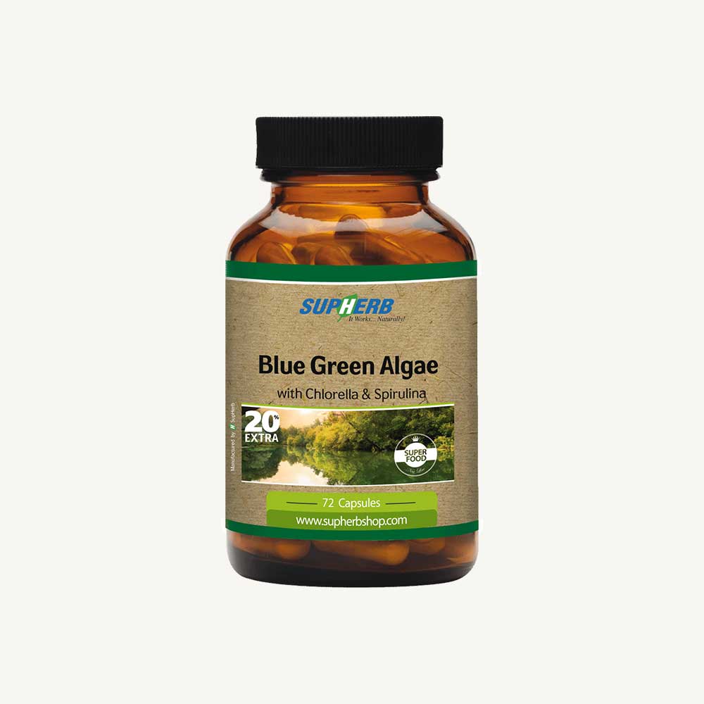 Blue Green Algae